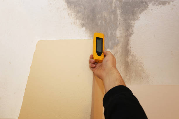 Mold Remediation for Rental Properties in Rossville, GA